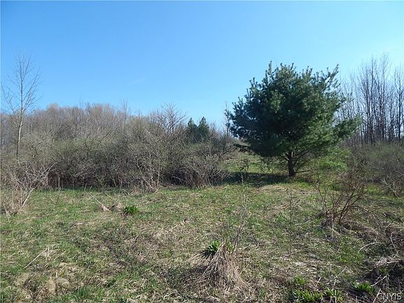 4th image of 3918 Alene Corners Rd #25