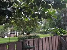 park-like view