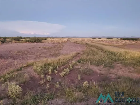 Palo Verde Rd SE, Deming, NM 88030