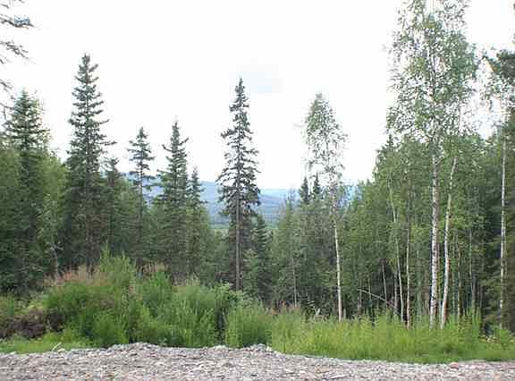 2nd image of 859 Goldfinch Rd