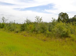 20354 W Wortham Rd, Saucier, MS 39574