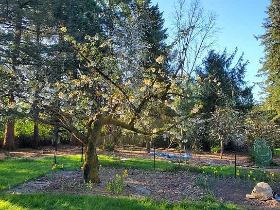 4th image of 920 SW Stephenson Ct