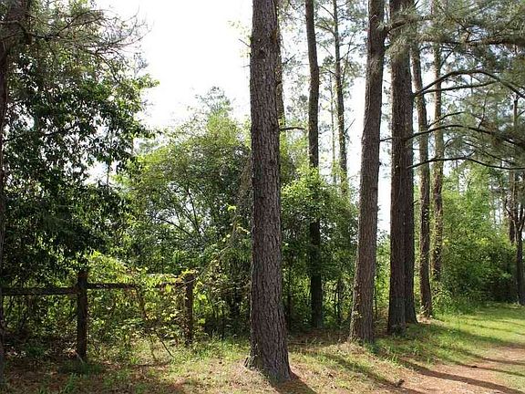 3rd image of 289 Julie Ln