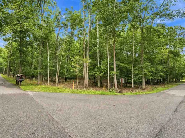1358 Timber Pass, Harbor Springs, MI 49740