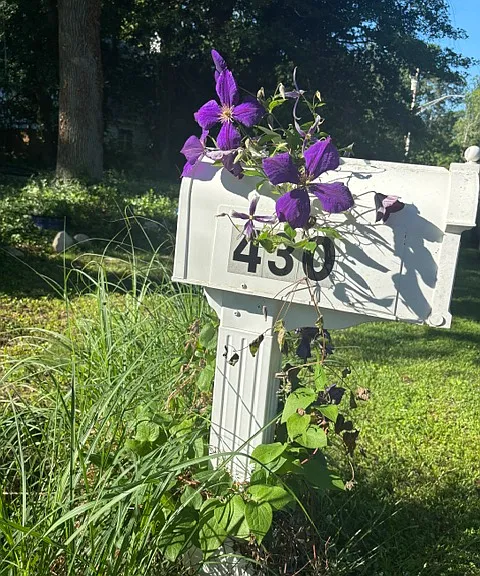 430 Duvall Ln — Photo 2