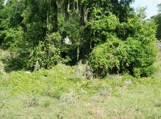 1434 N Lakeview St, Lady Lake, FL 32159