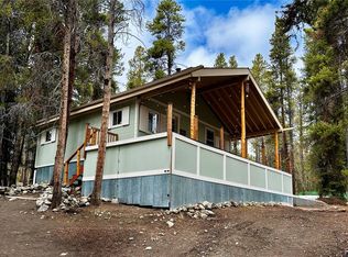 107 E Dream Home Dr, Leadville, CO 80461