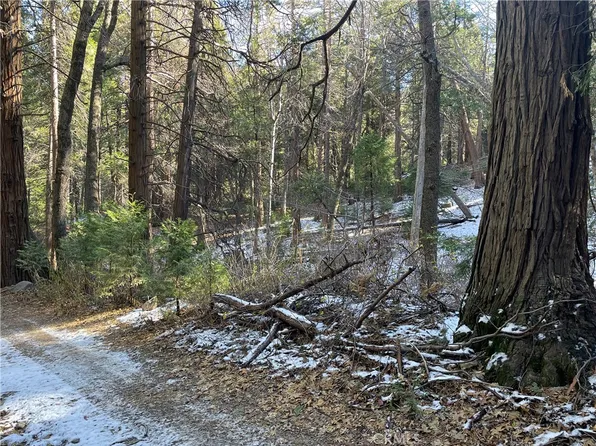 3 Burnt Mill Canyon Rd #3, Cedarpines Park, CA 92322