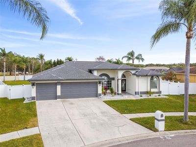10209 Lockwood Pines Ln, Tampa, FL, 33635