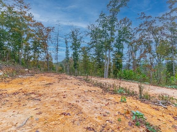 5th image of 0 Ross Hollow Rd