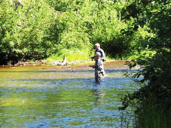 Township Road D Mile #93, Talkeetna, AK 99676