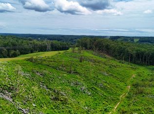 1 Bell Hollow Rd, Vanleer, TN 37181