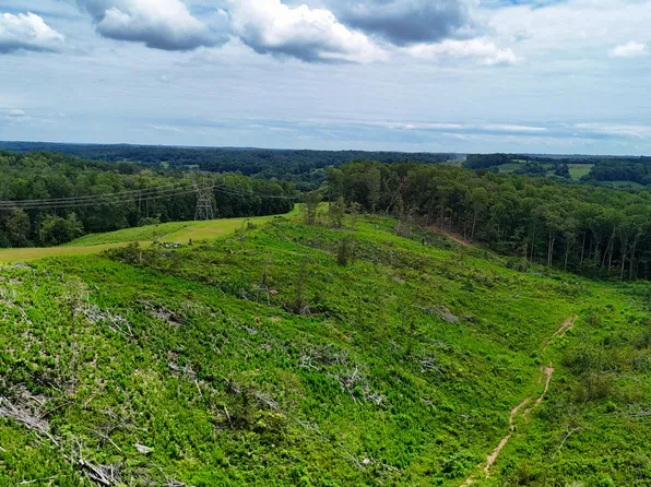 1 Bell Hollow Rd, Vanleer, TN 37181