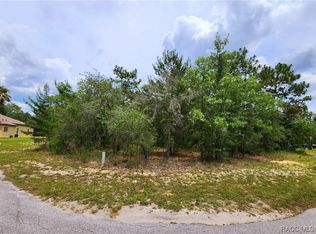 12 Euphorbia Ct, Homosassa, FL 34446