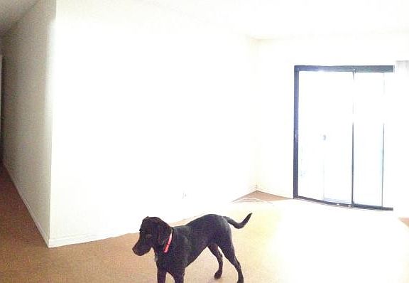 3rd image of 1463 Essex St Unit 1