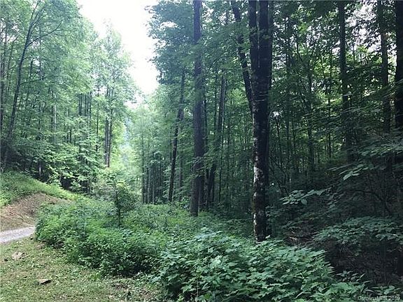View from the driveway area