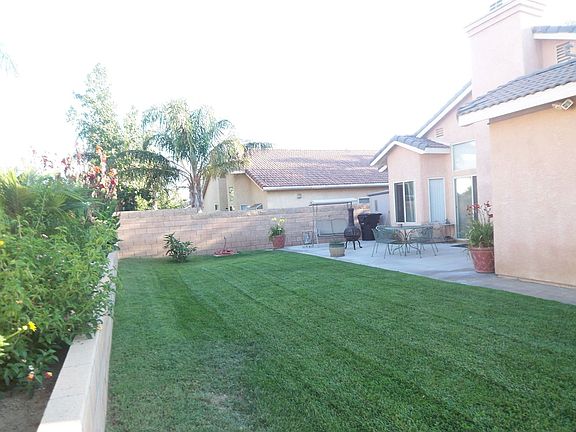 back yard