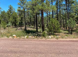 2154 Rimview Trl, Overgaard, AZ 85933