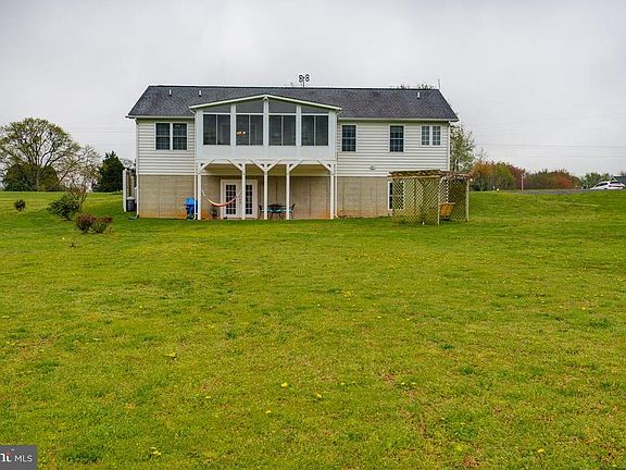 View from the Backyard