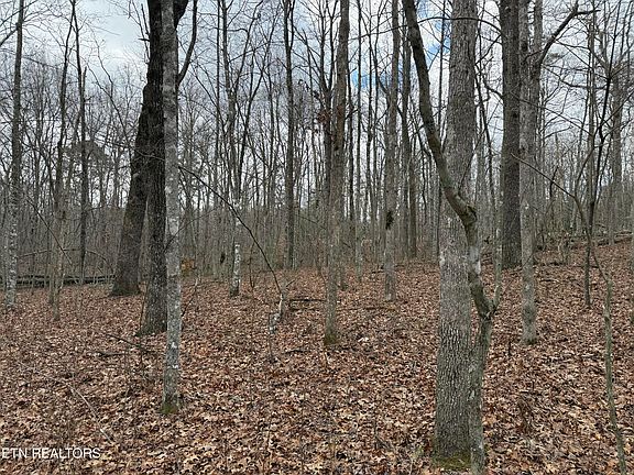 5th image of Street Place Loop