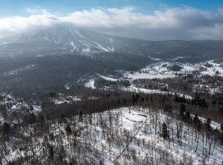 74 Upper Taylor Hill Rd, Bondville, VT 05340