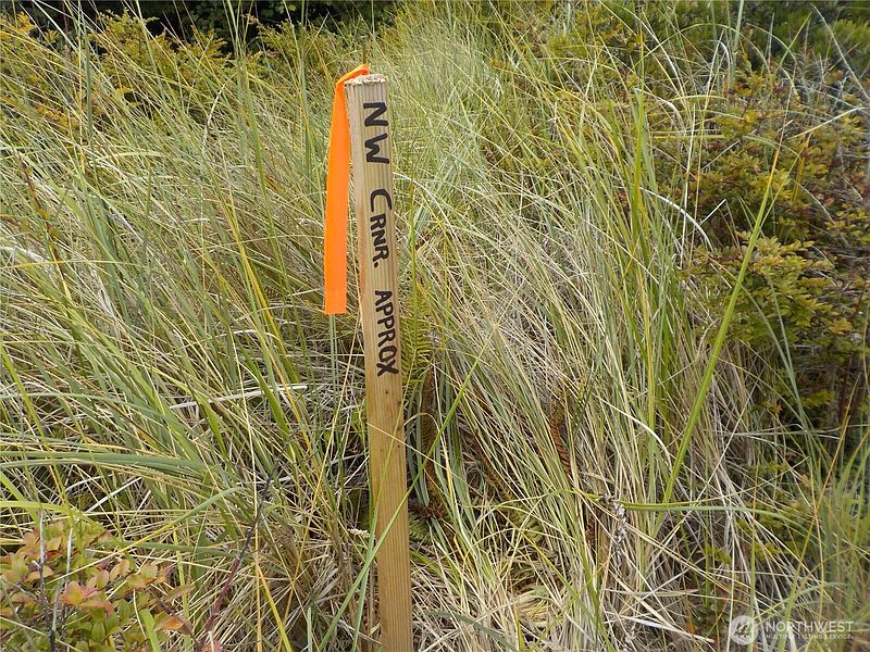 3rd image of 890 273rd Ln