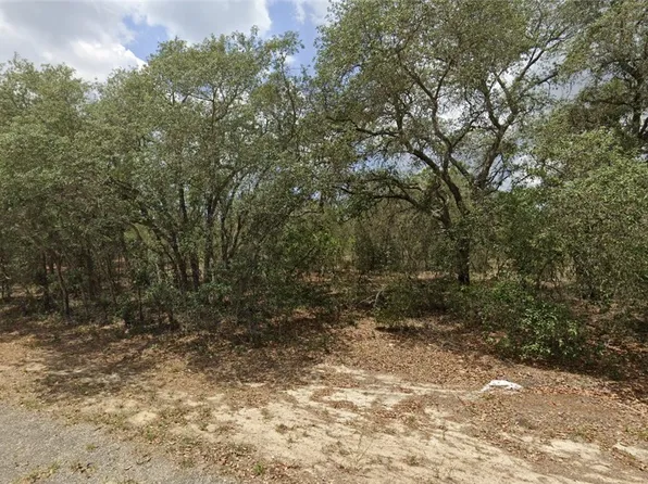 6512 N Winlock Ter, Citrus Springs, FL 34433