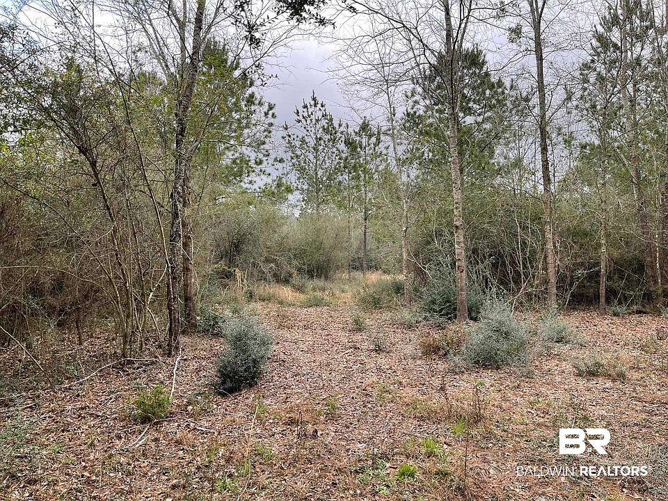 2nd image of Glass And Spivey Rd