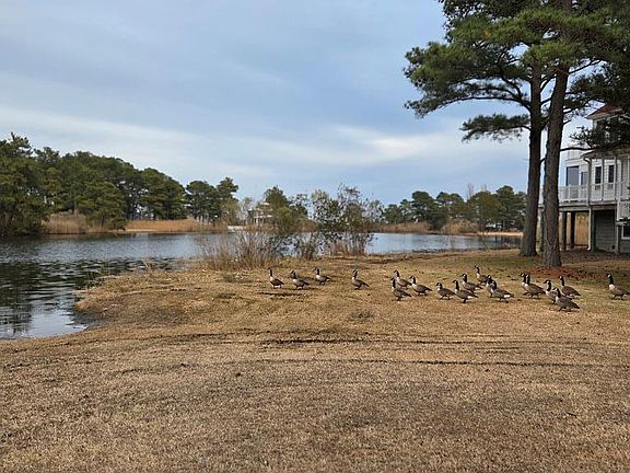 5th image of LOT 205 Hibiscus Dr
