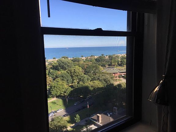 View from Unit
