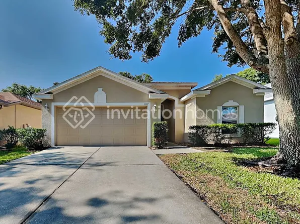 1117 Emerald Hill Way, Valrico, FL 33594