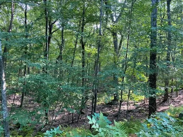 Lot 1.16 Gregory Road, Glen Spey, NY 12737
