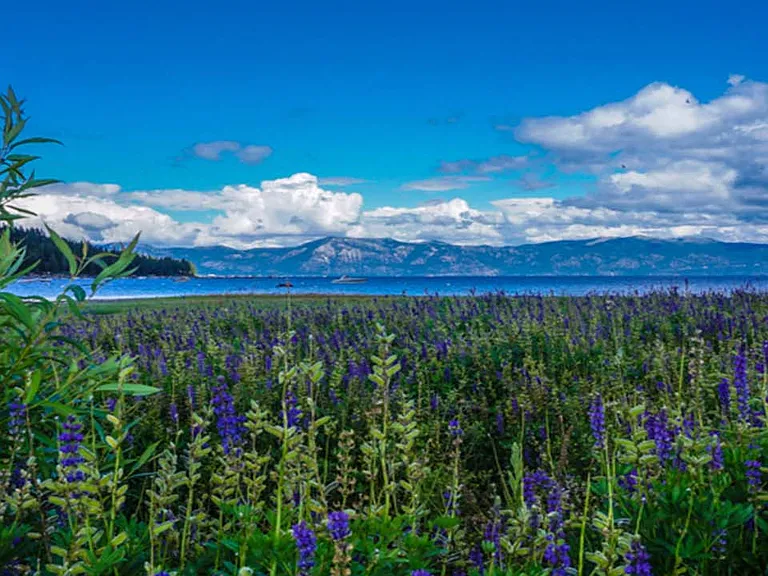 A view of meadow & lake (not from property)