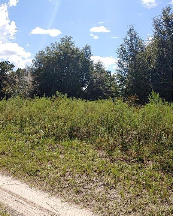 2nd image of 807 Long Ave