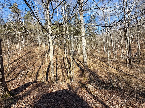 3rd image of 248 Sulphur Lick Rd