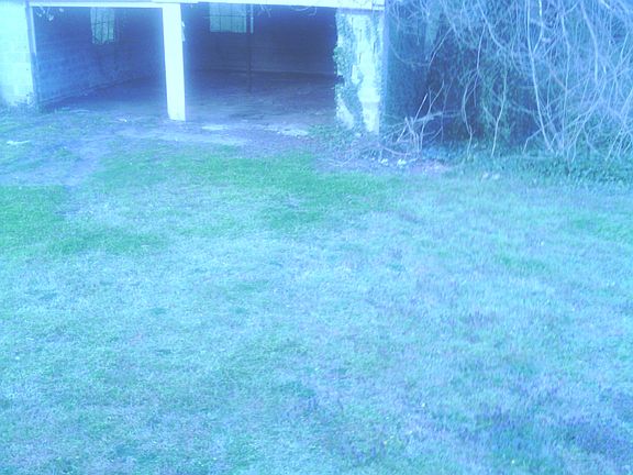 5th image of 21609 Pannill St