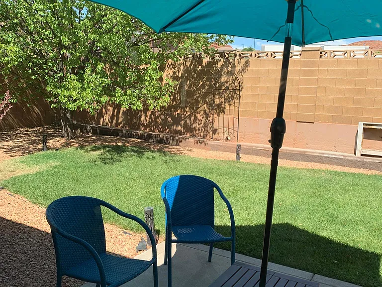 Back yard