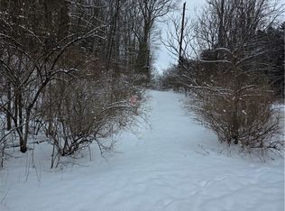 Mormon Hollow Rd Lot 21, Corning, NY 14830