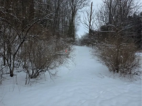 Mormon Hollow Rd Lot 21, Corning, NY 14830