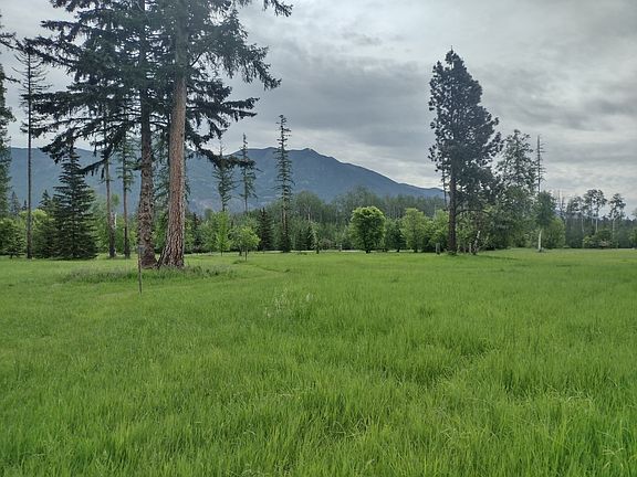 5th image of 136 Timber Axe Ln