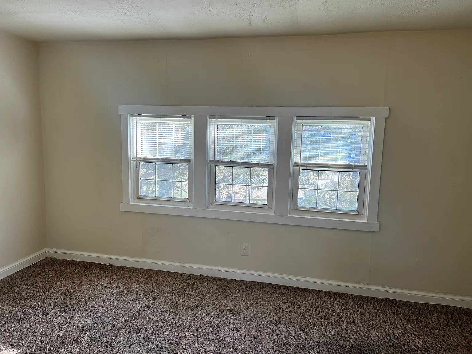 250 Browning Ln — Photo 4