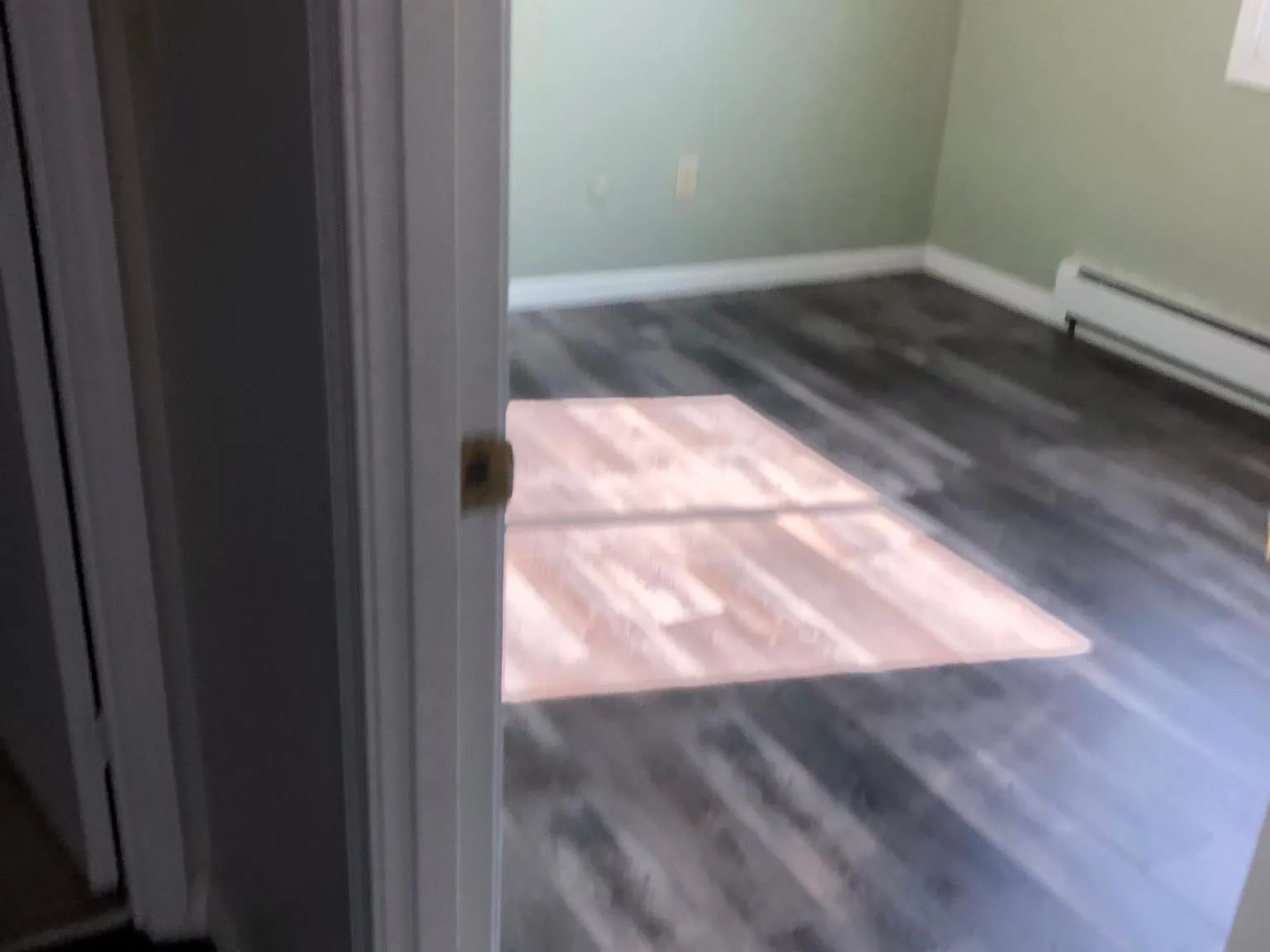 215 Mammoth Rd — Photo 3