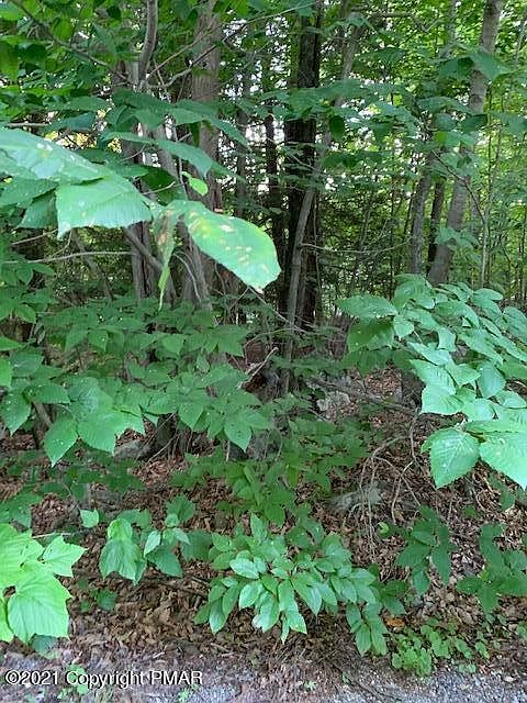 2nd image of LOT 228 Brandywine Ter #J