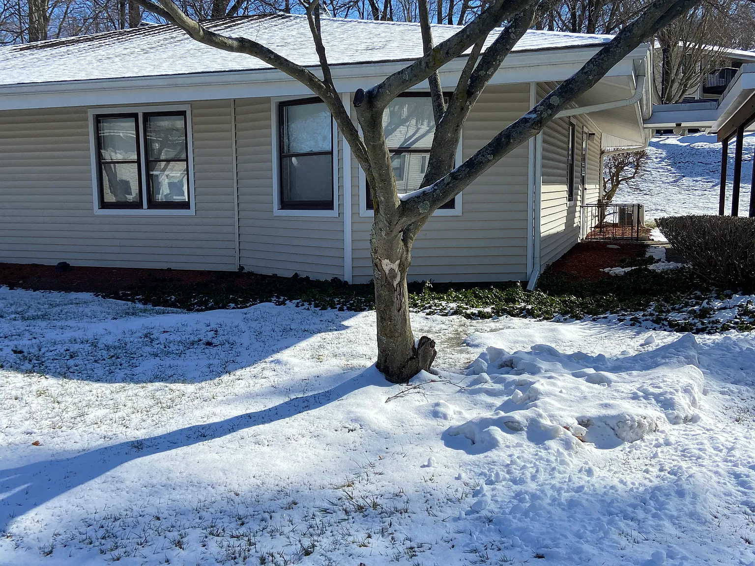 2 bed, 1000 sqft, $2,200 — Photo 1