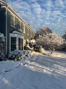 2505 Greenwood Ave, Wilmette, IL, 60091