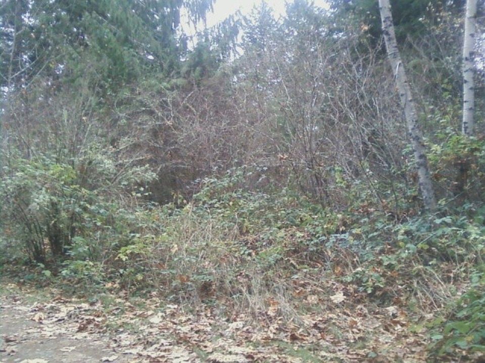 2nd image of 18707 Sorenson Rd SE