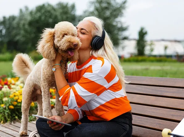 Homes Available Soon, Sumner Village