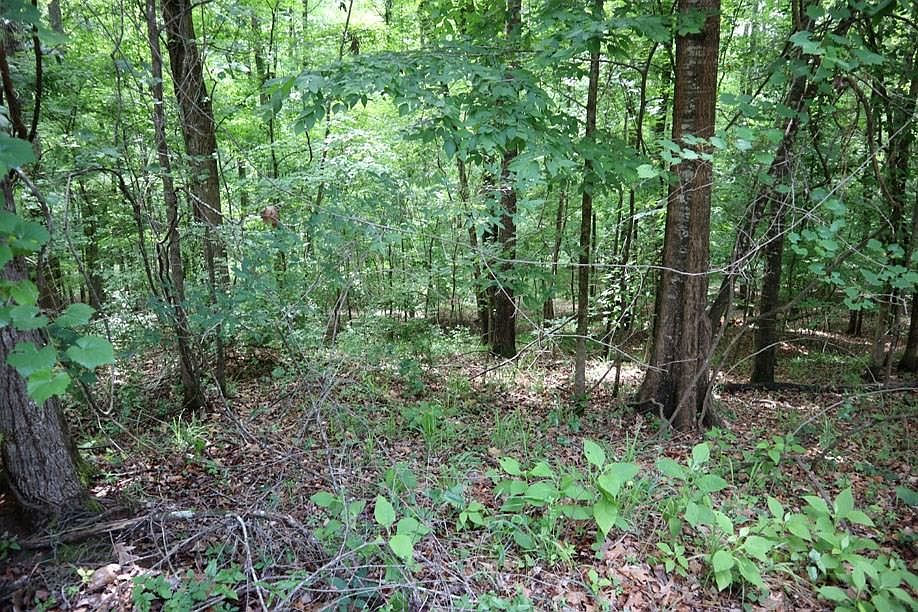 1st image of Lt102 Village Ct
