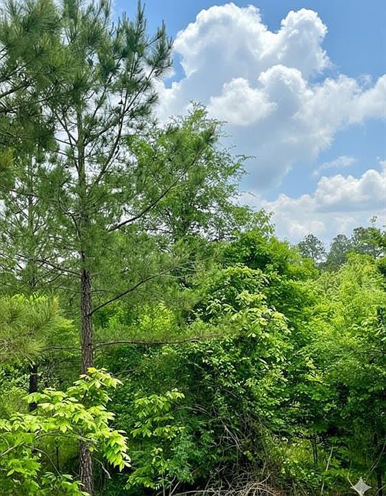 1st image of 665 Timber Creek Trails South XI