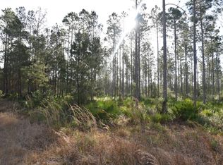360 Volusian Forest Trl, Pierson, FL 32180